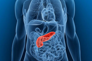 Pâncreas e Diabetes